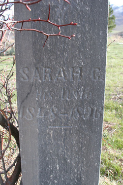 Sarah Catherine <I>Emmett</I> Porter 