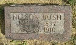 Nelson Bush 