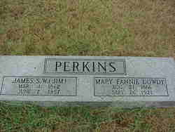 Mary Fannie <I>Dowdy</I> Perkins 