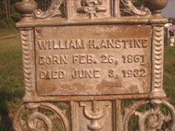 William Henry Anstine 