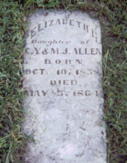 Elizabeth G Allen 
