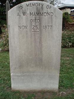 COL Amos Worrill Hammond 