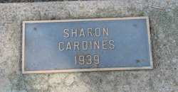 Sharon Ann Cardines 