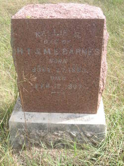 Nellie G. Barnes 