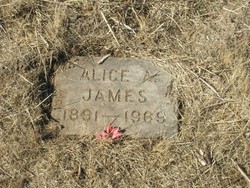 Alice Amanda <I>Trevistrich</I> James 