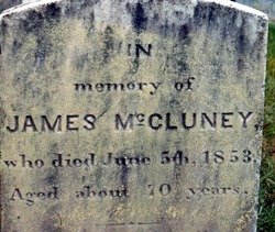 James McCluney 