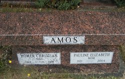 Homer Christian Amos 