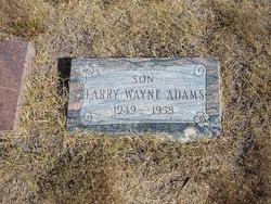 Larry Wayne Adams 