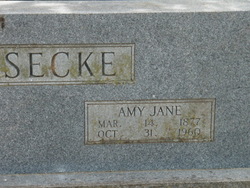 Amy Jane <I>Nix</I> Giesecke 