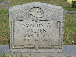 Amanda C Walden 