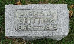 Adelia J. <I>Young</I> Chittick 