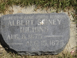 Albert Sidney Richins 