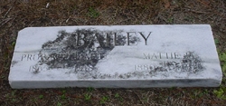 William L. Bailey 