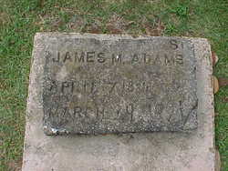 James Monroe Adams Sr.