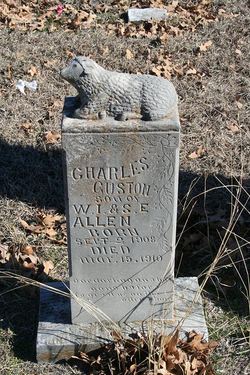 Charles Guston Allen 