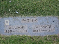 Asenath Viola <I>Wilcox</I> Passey 