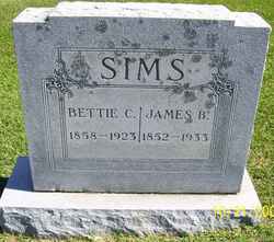 Jemima Elizabeth “Bettie” <I>Collins</I> Sims 
