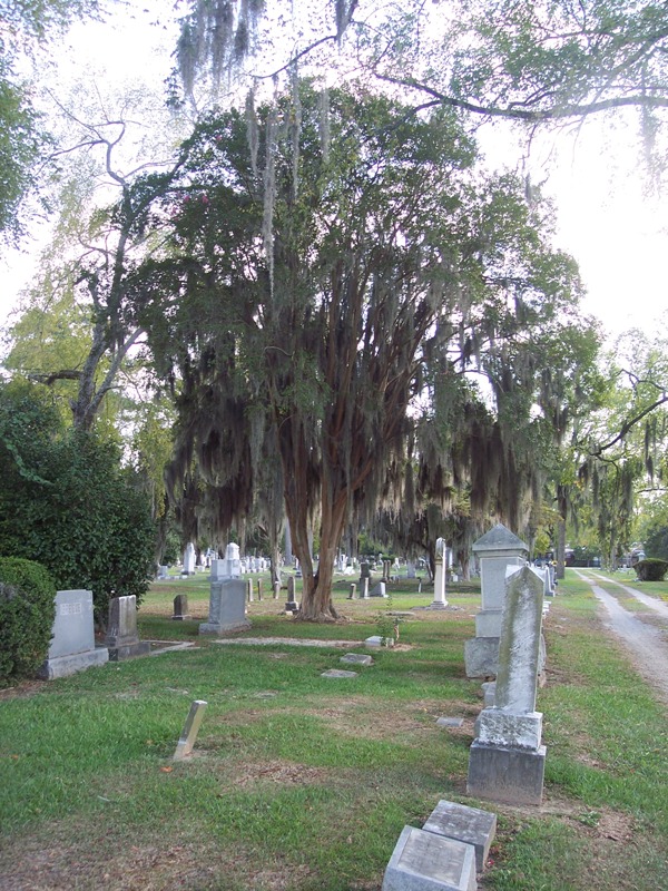 Cross Creek Cemetery #2