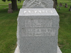 William J Adams 