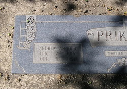 Andrew Arnold Prikryl 