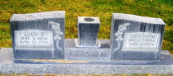 Joseph M. Litson 