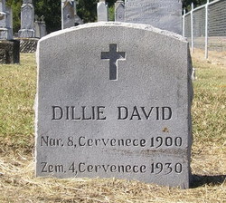 Dillie <I>Michna</I> David 