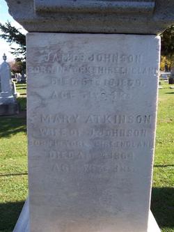 Mary <I>Atkinson</I> Johnson 