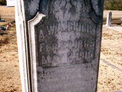 Artemus W Albright 