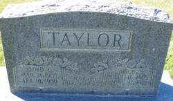 Alice <I>Hatch</I> Taylor 