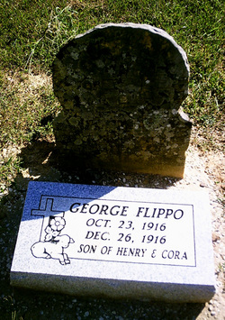 George Flippo 