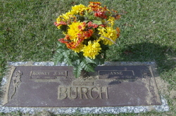 Anne Burch 