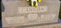 Andrew Gallie “Andie” Cannon 