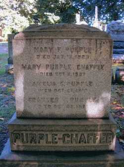 Frances Minerva Purple 