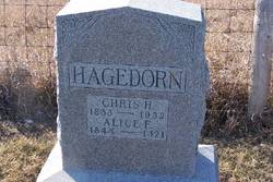 Alice F Hagedorn 