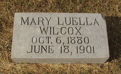Mary Luella Wilcox 
