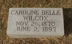 Caroline Belle Wilcox 