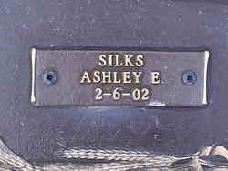 Ashley E Silks 