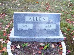 Alice Allen 