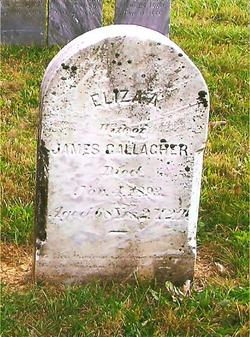 Eliza Ann <I>Lauver</I> Gallagher 