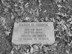 Harold Brock 