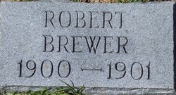 Robert Brewer 
