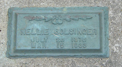 Nellie <I>Davis</I> Bolsinger 