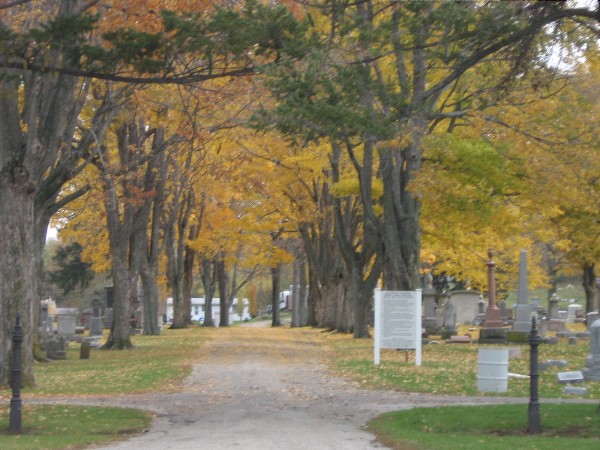 Springlawn Cemetery