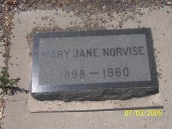 Mary Jane <I>Smith</I> Norvise 