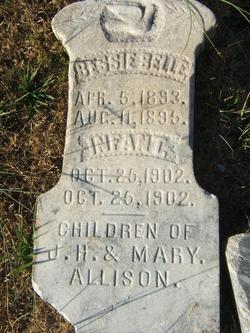 Bessie Belle Allison 
