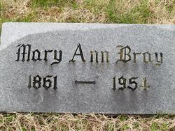 Mary Ann “Mollie” <I>Williams</I> Bray 