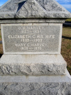 Mary E. Harvey 