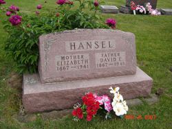 David E. Hansel 