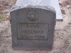 Anna Freedman 