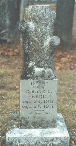Infant Beck 